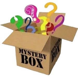 Mystery Box 16 Pieces Various Brands Women’s Tops Size Medium